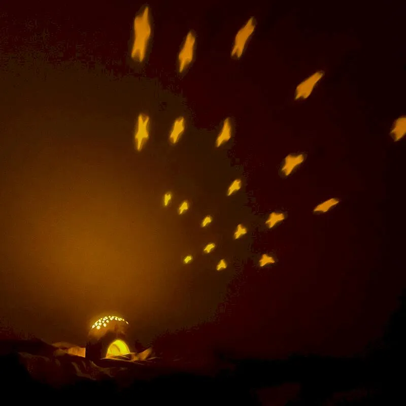 Lumitusi 鯨魚音樂星星投射小夜燈 星空投影燈 歷史價格詳細信息