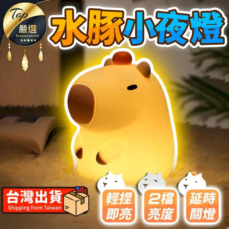 水豚小夜燈【單入組】(輕捏即亮/延時關燈) 歷史價格詳細信息