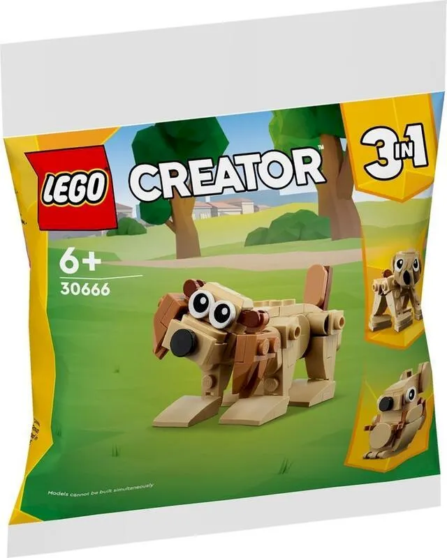 袋裝 LEGO 30667 Animal Birthday Party 歷史價格詳細信息