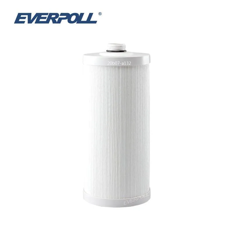 【EVERPOLL】全效複合式濾芯 R-PP (RO-500/600專用濾芯) 歷史價格詳細信息