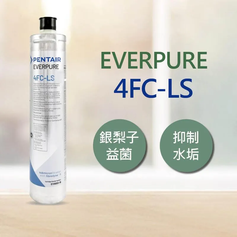 Everpure -H104濾心T-33奈米除菌淨水器濾心組   飲料店 貨號 602860 Seven star淨水網 歷史價格詳細信息