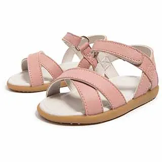 我愛魚鮮 蘇海坡 編 2012-1 青島出版 歷史價格詳細信息