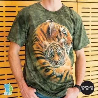 摩達客美麗保養推薦-【詩美諾】高級胺基酸活膚潔顏霜 100g-人蔘白茯苓保濕緊緻草本洗面乳首選 歷史價格詳細信息