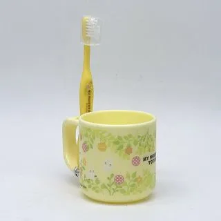 Skater 宮崎駿 龍貓 6-12歲 小學生牙刷 兒童牙刷 換牙期 牙刷 浴室用品 盥洗用具 歷史價格詳細信息