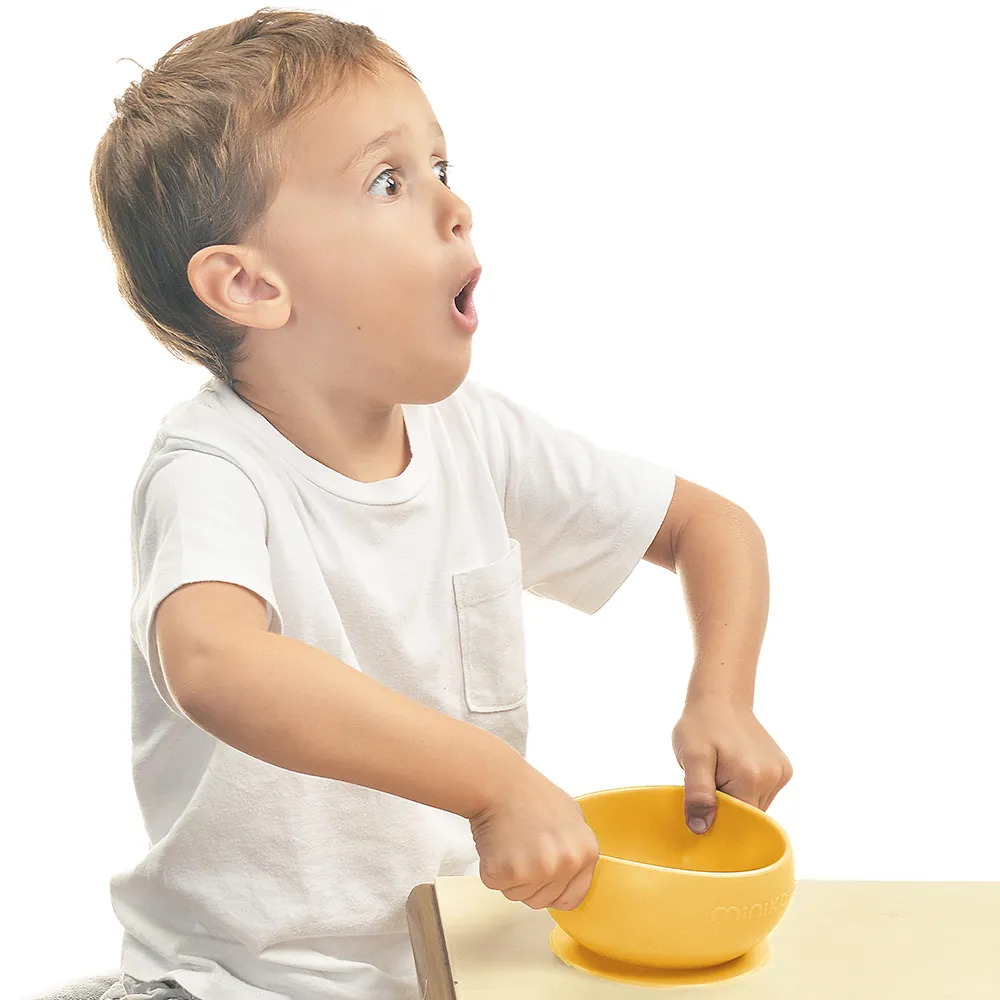 【minikoioi】防滑矽膠吸盤碗（共10款可挑選） 歷史價格詳細信息