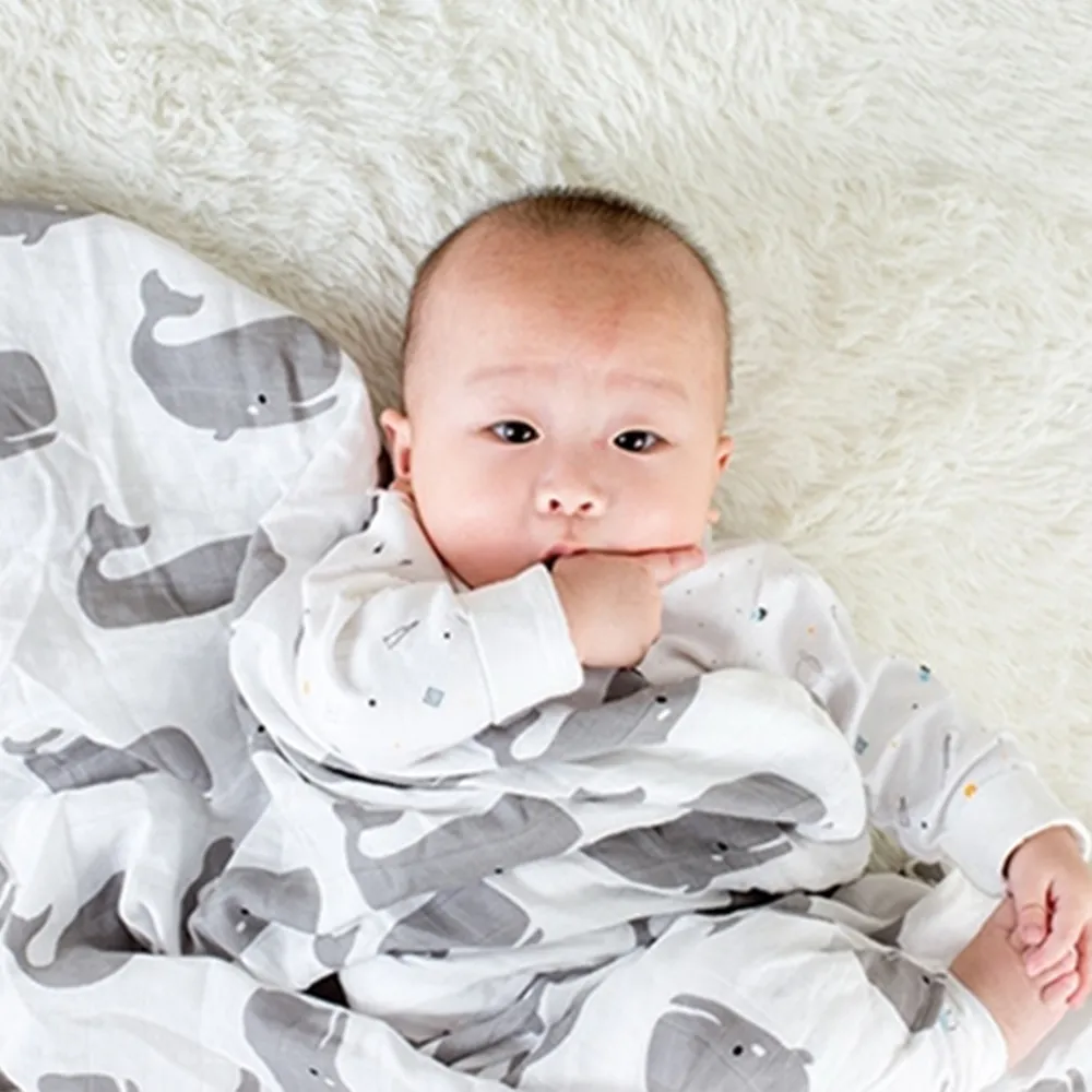 Muslin tree紗布巾寶寶吸汗巾 墊背巾 雪倫小舖 歷史價格詳細信息