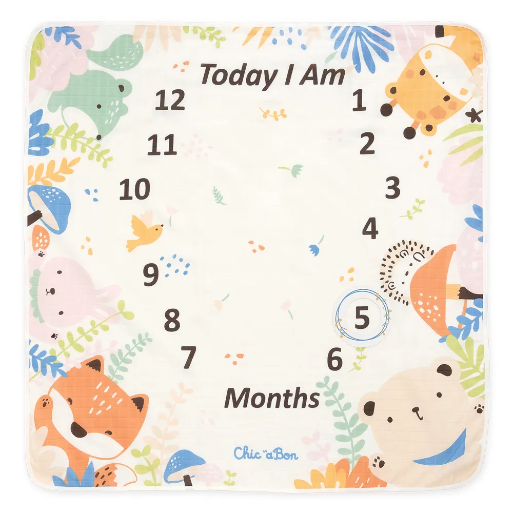 【奇哥】Chic a Bon 天鵝公主側開內衣式兔裝/包屁衣(12-36個月) 歷史價格詳細信息