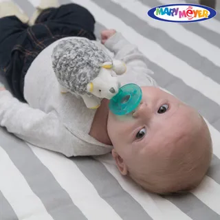 Mary Meyer美國蜜兒-Baby標籤布書系列-點點猴 歷史價格詳細信息