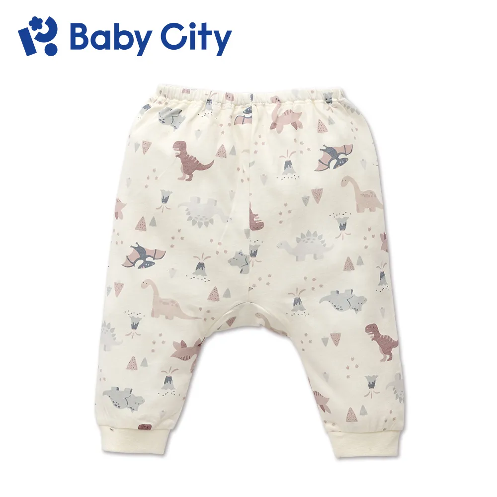 Baby City 恐龍天絲男內褲2入(90-130cm) 【麗兒采家】 歷史價格詳細信息