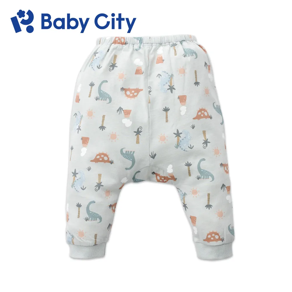Baby City 恐龍天絲男內褲2入(90-130cm) 【麗兒采家】 歷史價格詳細信息