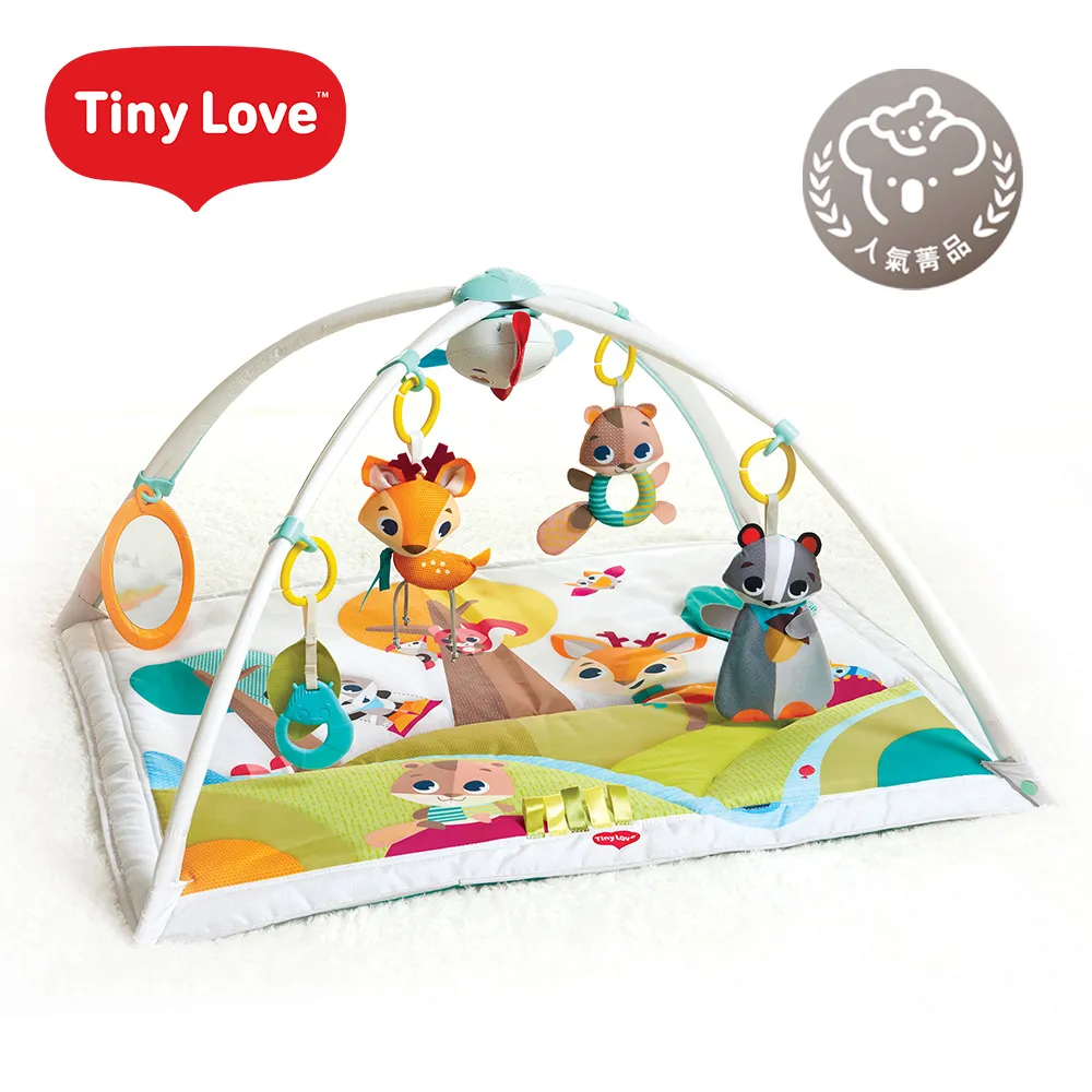 美國 Tiny Love 玩偶遊戲墊 (Into the Forest)【麗兒采家】 歷史價格詳細信息