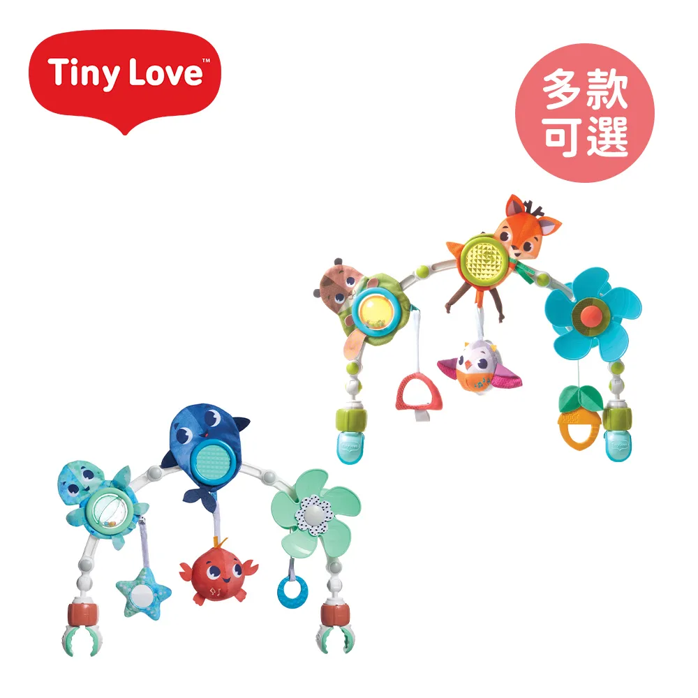 美國 Tiny Love 感統積木六面盒-快樂草原(STEAM素養)【安琪兒婦嬰百貨】 歷史價格詳細信息