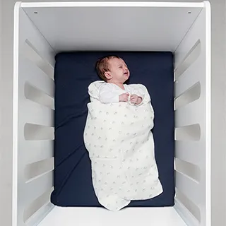 鯊魚折合鋸A-25/A-289-300 歷史價格詳細信息