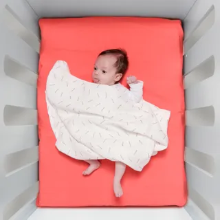 【西班牙製】鯊魚咬一口BabyBites100% 純棉舒適透氣超萌圖騰包巾《快樂襪子》 歷史價格詳細信息