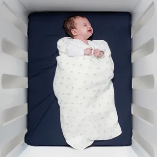 鯊魚折合鋸A-25/A-289-300 歷史價格詳細信息