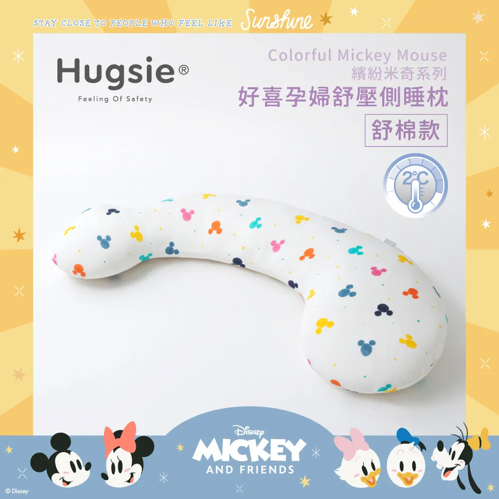 Hugsie涼感迪士尼公主系列【枕套單售】【S】 歷史價格詳細信息