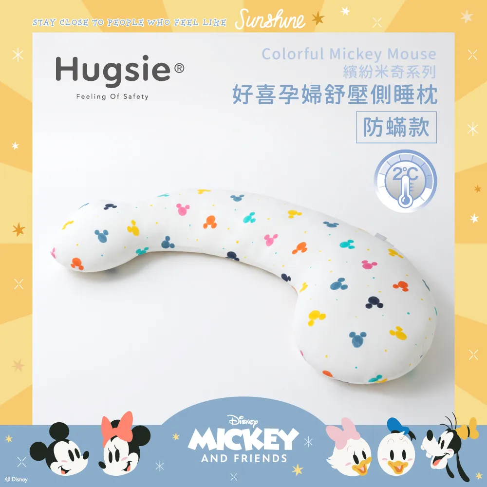 Hugsie涼感迪士尼公主系列【枕套單售】【S】 歷史價格詳細信息