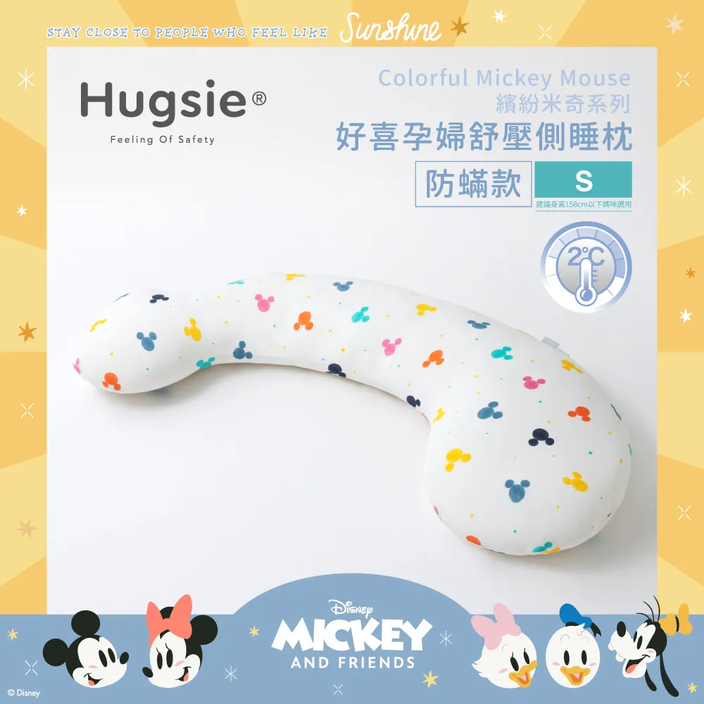 Hugsie涼感迪士尼公主系列【枕套單售】【S】 歷史價格詳細信息