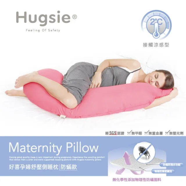 Hugsie 孕婦舒壓側睡枕專用-寶寶安撫秀秀枕套【衛立兒生活館】 歷史價格詳細信息