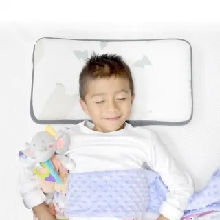 【PAMABE 】50-韓國製 寶寶好睡防踢被-【瑕疵品】 歷史價格詳細信息