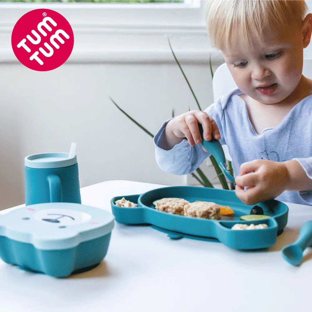 TUM TUM 狐狸費西蒂-不鏽鋼保溫保冷罐300ml(附匙叉) 歷史價格詳細信息