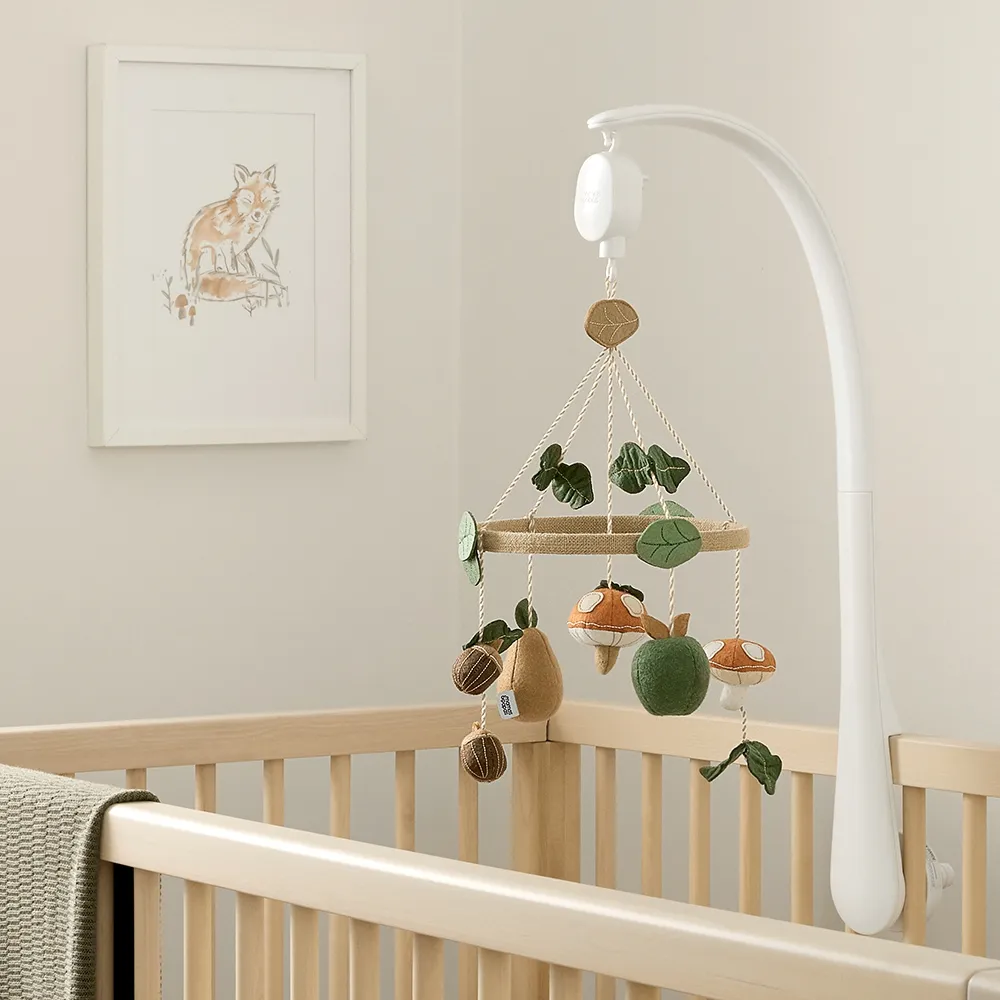 【Mamas & Papas】秋分莓果-防踢被(6-18m) 歷史價格詳細信息