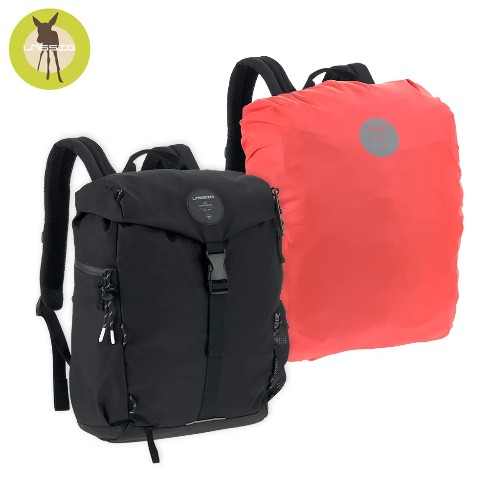 德國【Lassig】戶外走走機能後背媽媽包-迷霧灰 歷史價格詳細信息