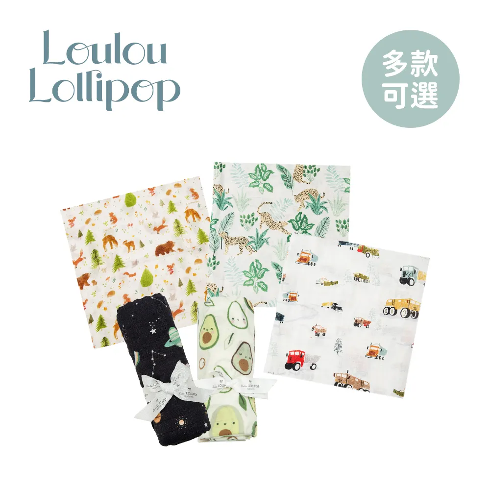 加拿大 Loulou lollipop 嬰幼兒固齒器/奶嘴鍊夾(3款可選) 歷史價格詳細信息