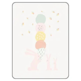 韓國 petit bird透氣竹纖抗菌防水尿布墊(大)-禮物熊(綠)[免運費] 歷史價格詳細信息