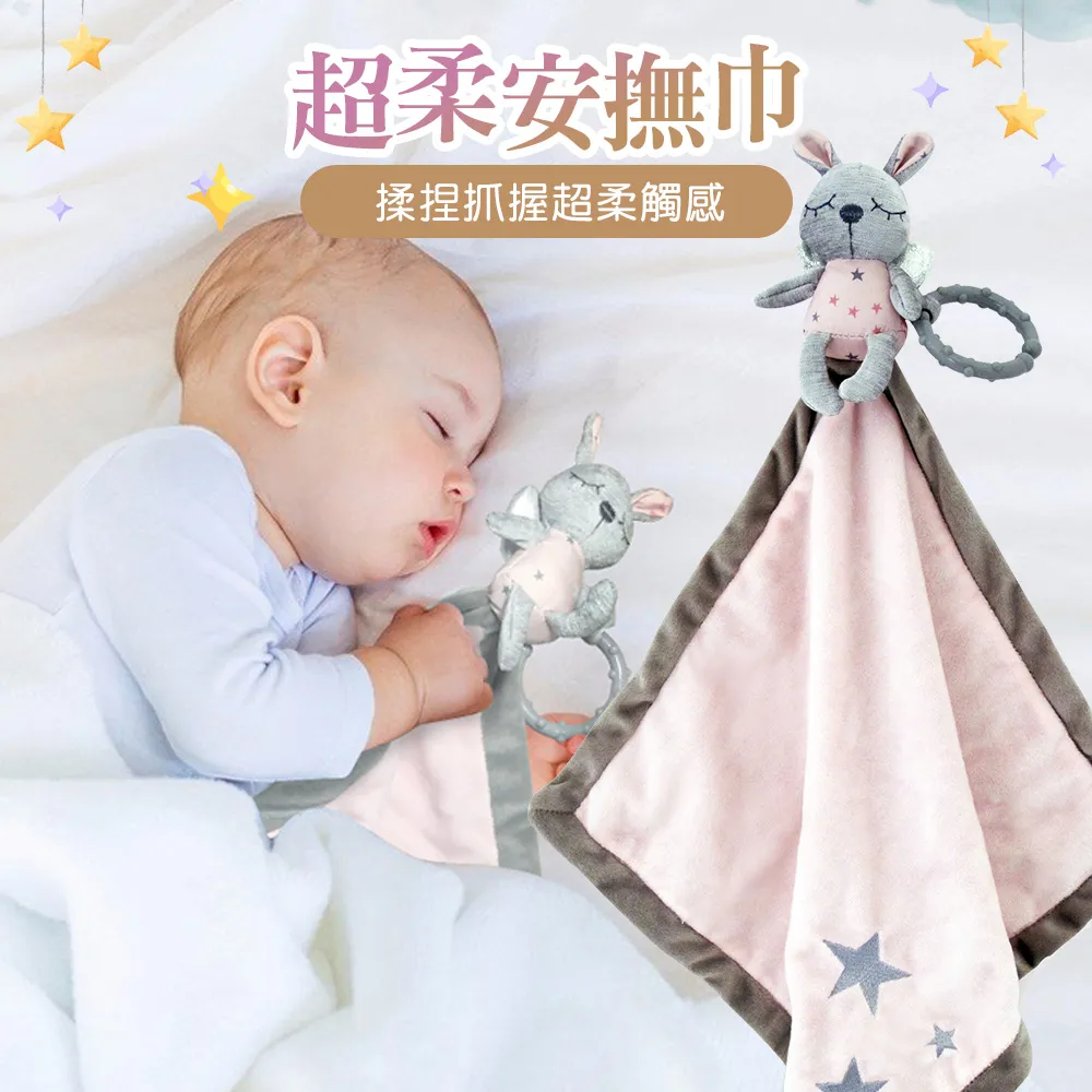 【BIRDY】超細纖吸水碗盤擦拭布-竹炭灰 (共2款) 歷史價格詳細信息