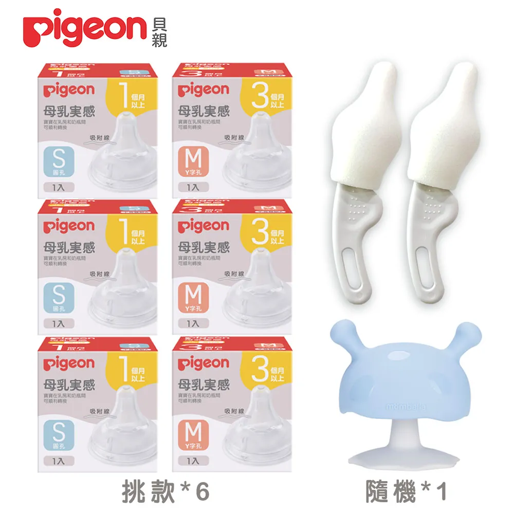 貝親Pigeon 寬口母乳實感奶嘴 第二代/第三代(SS/S/M/L/LL/3L) 歷史價格詳細信息