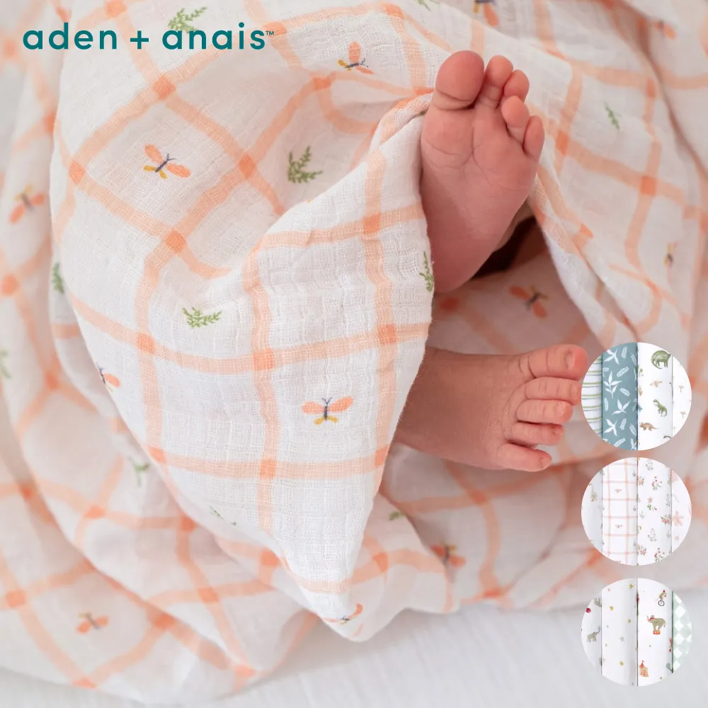 Aden & Anais 經典多功能包巾4入(ADDISESWC40029迪士尼夥伴) 1344元 歷史價格詳細信息