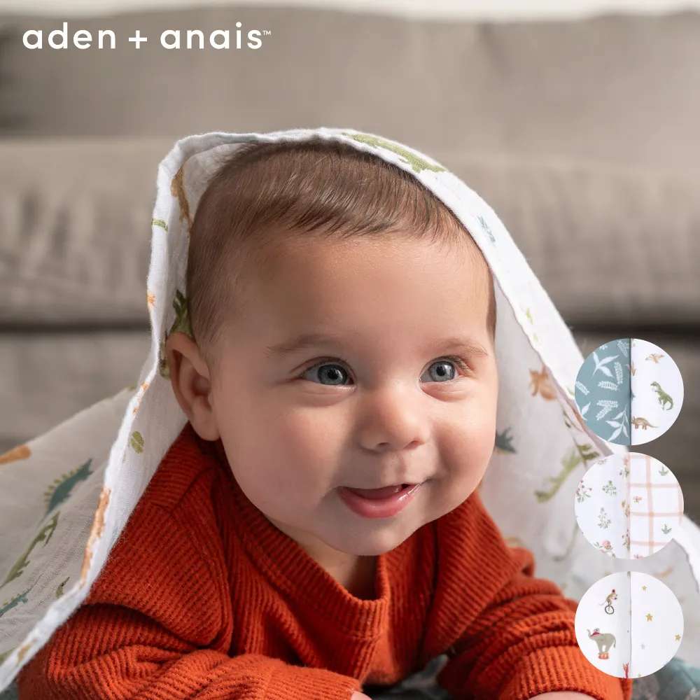 Aden & Anais 經典多功能包巾2入-熱氣球小飛象(ADDISNESWC20007) 784元 歷史價格詳細信息