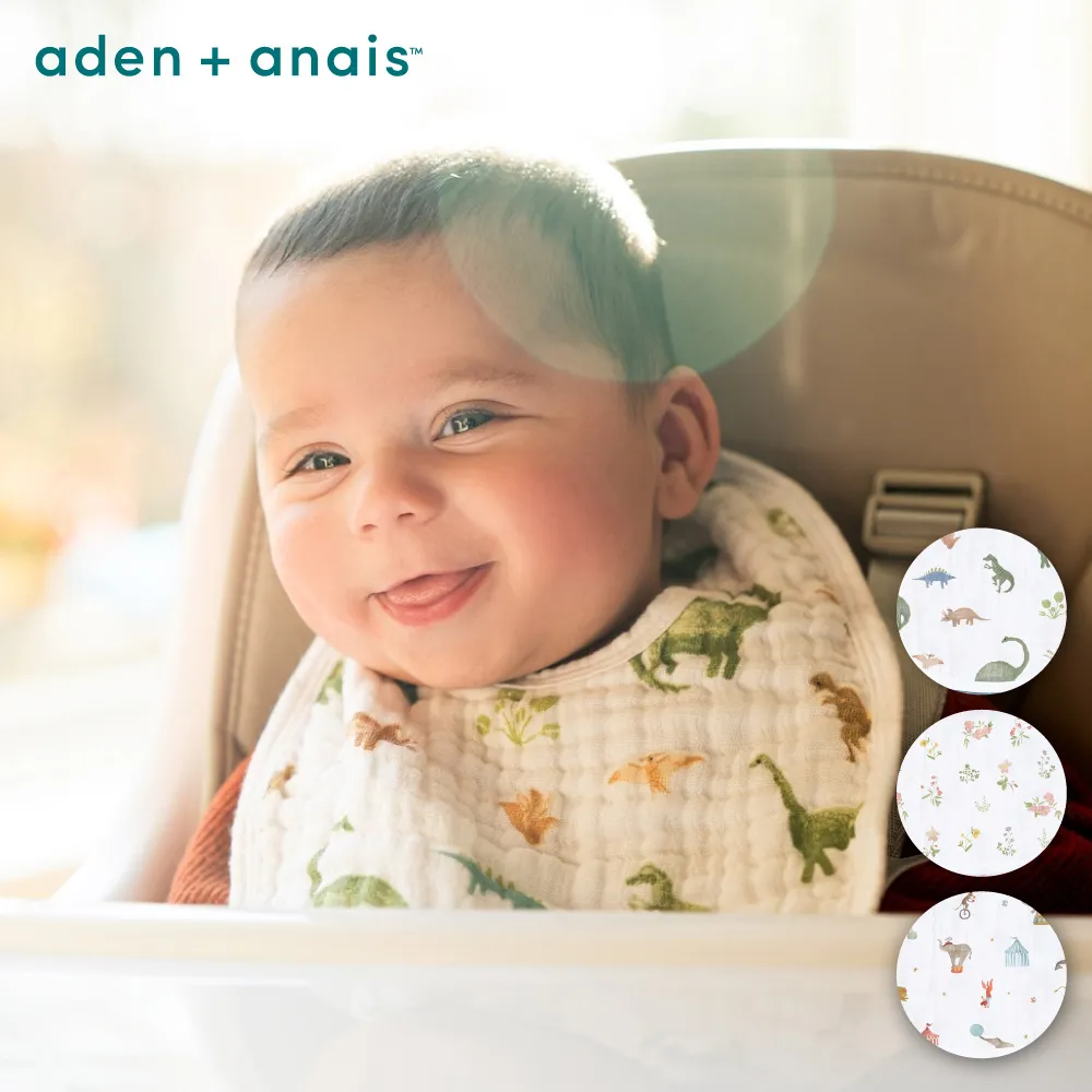 Aden & Anais 經典圍兜3入(ANASNC30012 翩翩起舞) 632元 歷史價格詳細信息