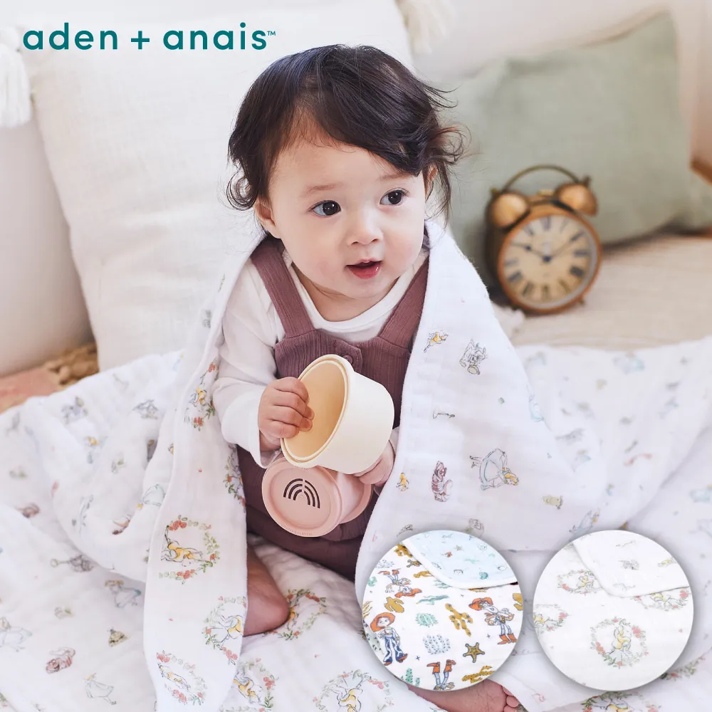 【Aden & Anais】迪士尼經典方巾3入 歷史價格詳細信息