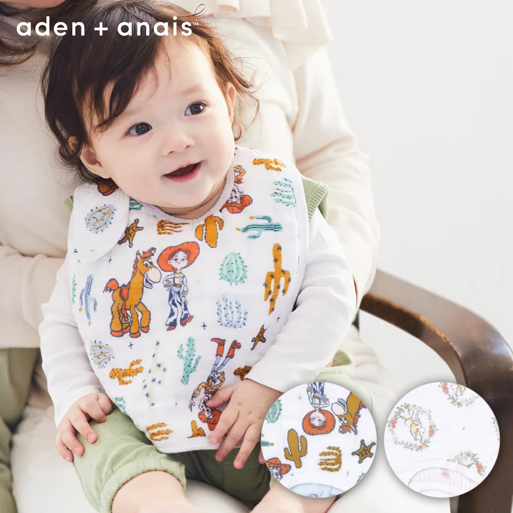 【Aden & Anais】迪士尼經典方巾3入 歷史價格詳細信息