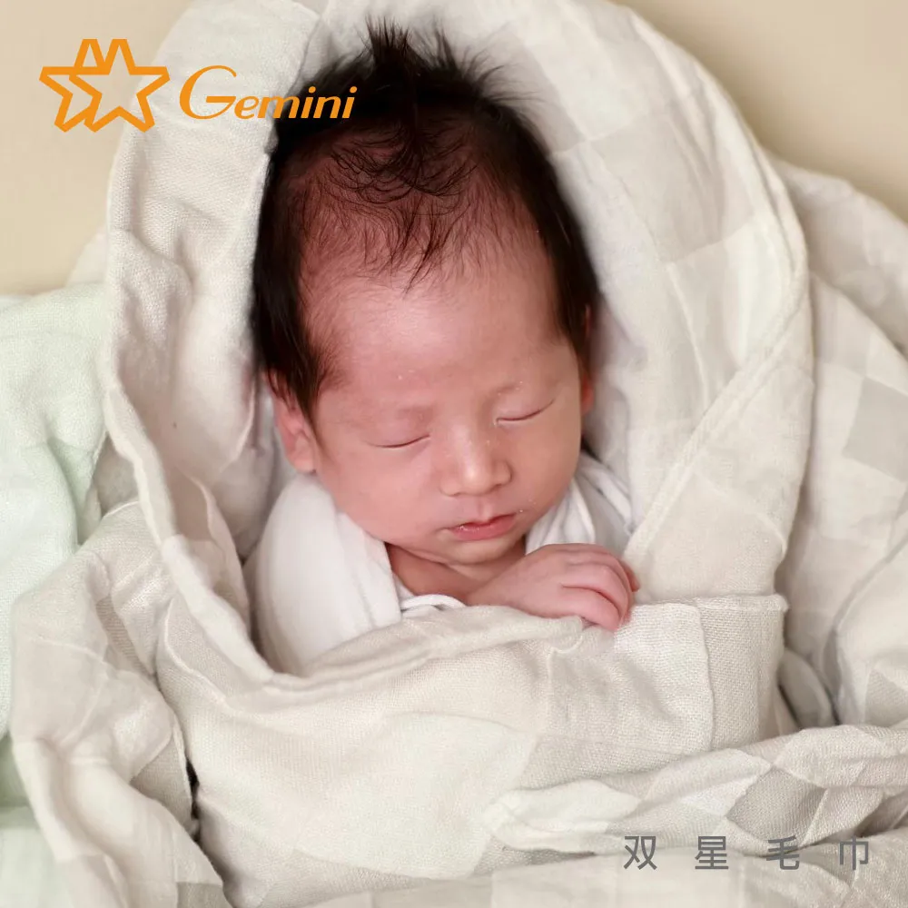 【双星毛巾Gemini】無捻歡樂動物剪絨系列-方巾｜柔軟蓬鬆｜吸水透氣｜魔法棉紗 歷史價格詳細信息