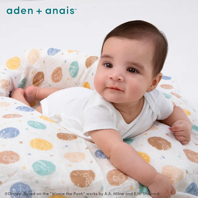 Aden & Anais叢林維尼好入眠easy包巾組(ADDISNEWSK30018) 1424元+附紙袋 歷史價格詳細信息