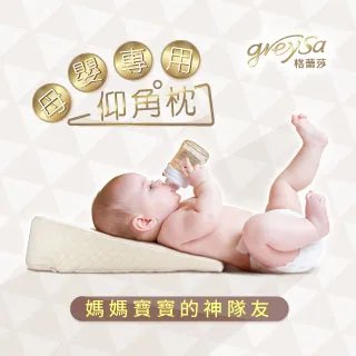 格蕾莎 GreySa 母嬰專用仰角枕 台灣製 防溢奶三角枕 斜坡枕 防溢乳枕 托腹枕 2908 歷史價格詳細信息