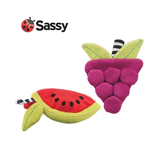 美國 Sassy 多功能清涼貼 /冰涼咬咬袋 (葡萄or西瓜) 歷史價格詳細信息