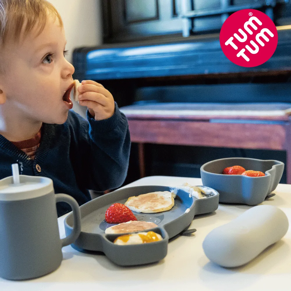 TUM TUM 無尾熊凱文-矽膠餐碗湯匙組 歷史價格詳細信息