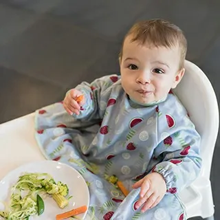 英國 Tidy TOT 防髒吸盤圍兜(短袖)-可愛斑馬/晴空藍【佳兒園婦幼館】 歷史價格詳細信息