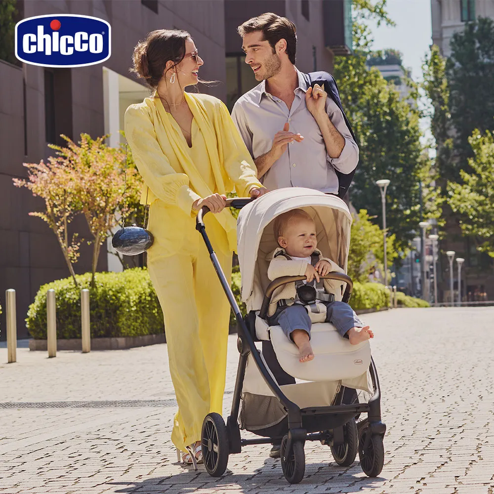 Chicco 嬰兒推車專用掛勾(灰) 歷史價格詳細信息