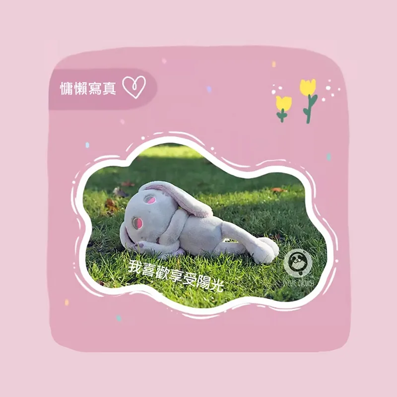 Doozie Drowsy 毛絨玩偶 熊JOJOE 歷史價格詳細信息