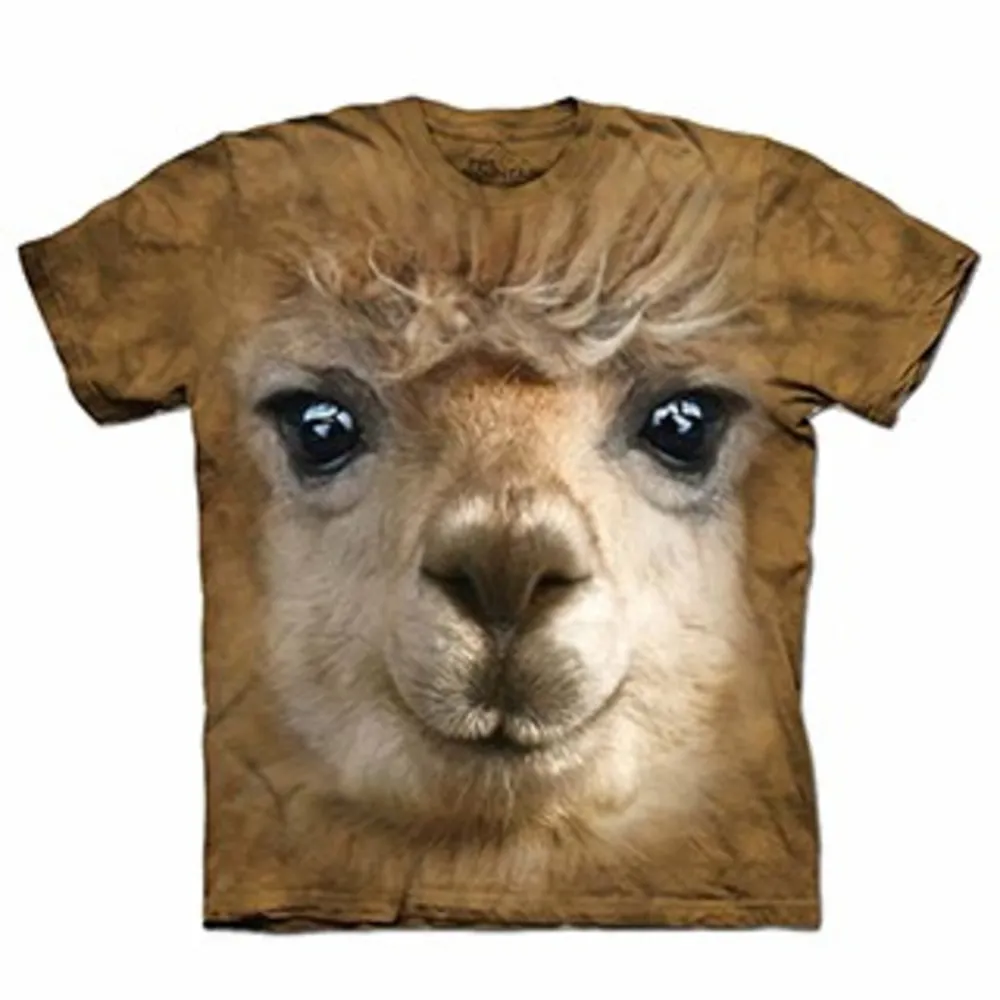 【現貨】T 馬里奧進化桶 原模正品 歷史價格詳細信息