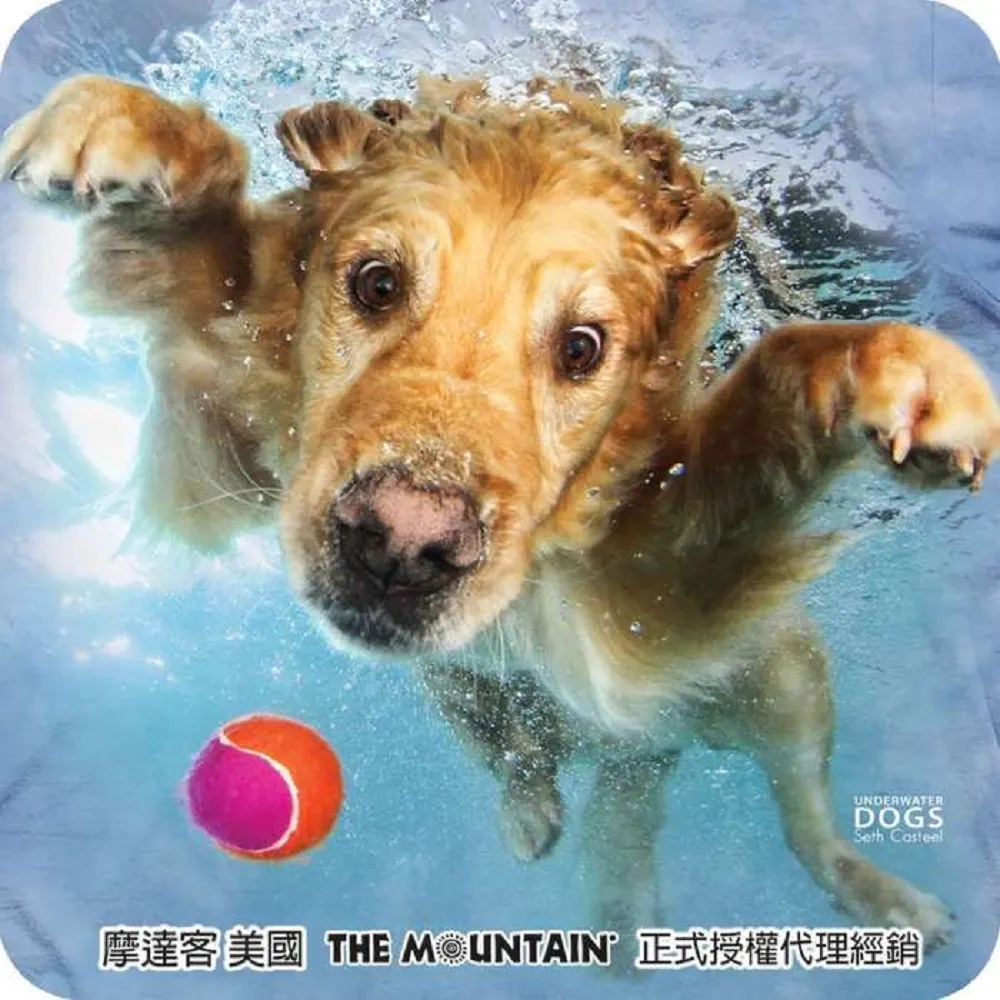 摩達客-現貨-美國The Mountain保育系列 拯救北極熊 兒童黑色純棉短袖T恤 歷史價格詳細信息