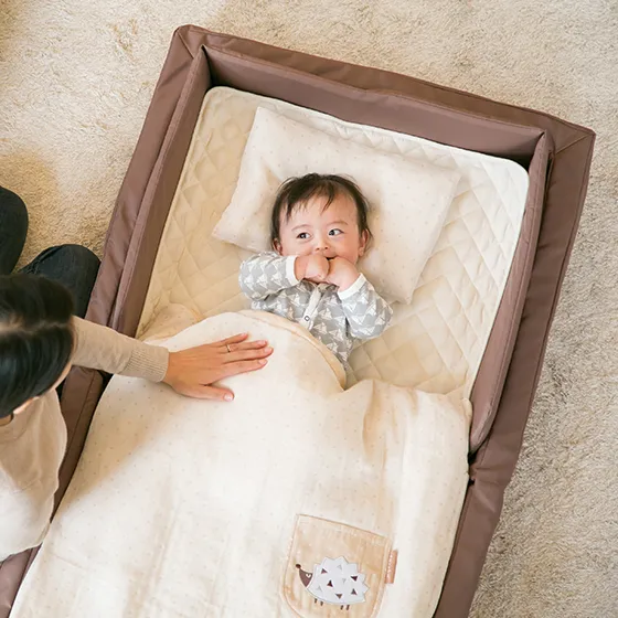 【farska】透氣好眠延伸床墊30x60-奶油香頌 歷史價格詳細信息