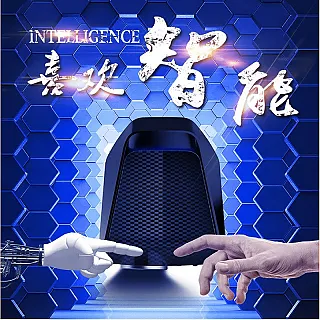 任你選市集 勸敗分享 全新正品　PAUL&JOE漫步公園　貓咪 頰彩球 腮紅 喵星人跟你一起童心未泯玩彩粧 限量商品 歷史價格詳細信息