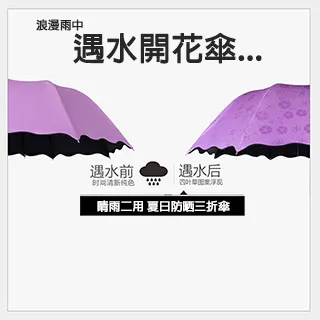 95.荷蘭銀彩-G5 SQ88B信號線 RCA/Neutrik1.0/ 1.5米* 2條特價1300/1800元 歷史價格詳細信息