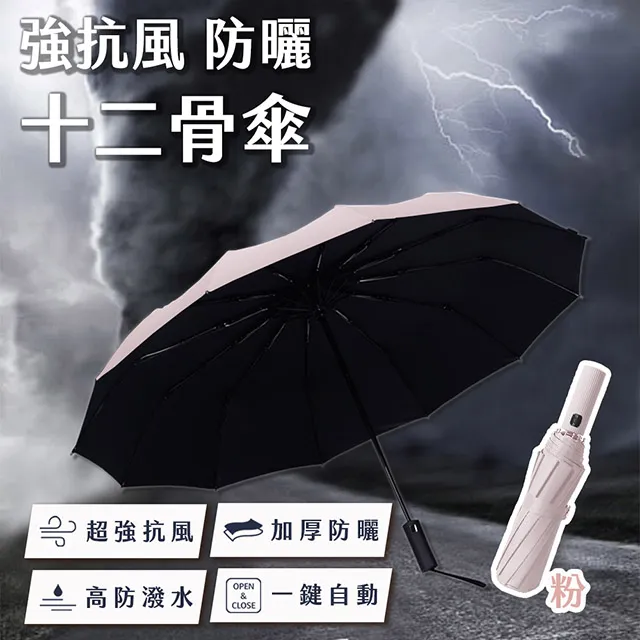 強抗風防曬十骨傘(糖果粉) 歷史價格詳細信息